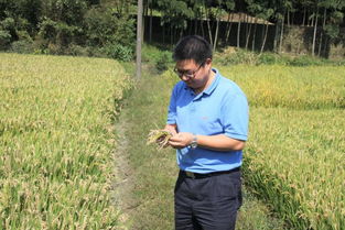 农业科技工作者的楷模 记农产品质量标准研究所赵学平研究员的科研风采