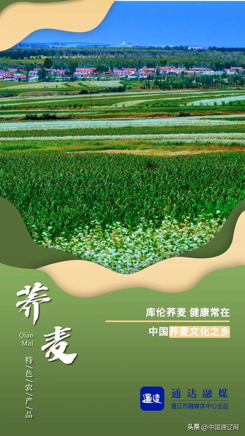 通辽特色农产品与农业技术研究