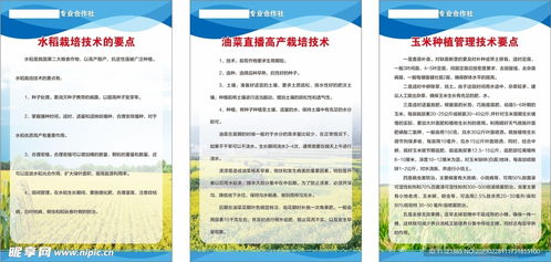 农作物栽培管理技术设计图及其在农业技术研究中的应用