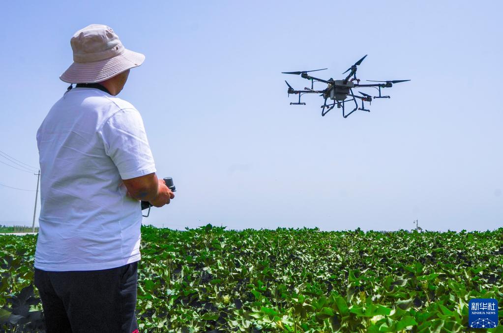 现代农技助力新疆夏管夏收，智慧农业迎来丰收季