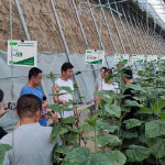 中国农业科学院蔬菜花卉研究所 推动农业技术创新的前沿力量