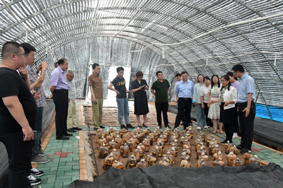 科技赋能边疆农业 中国科协农技中心领导赴延边州调研指导