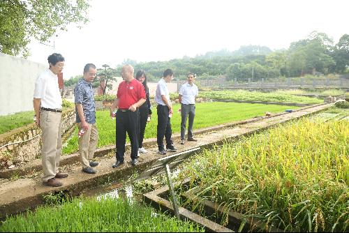 农业农村部科技发展中心调研祁阳站 聚焦前沿，共促农业技术创新发展
