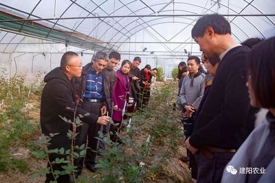 田间地头的生动课堂 建阳区农技培训“搬进”农业企业，赋能乡村振兴