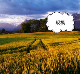 科技赋能农业，智慧引领电商——为农产品电商领域中的农业技术研究者点赞