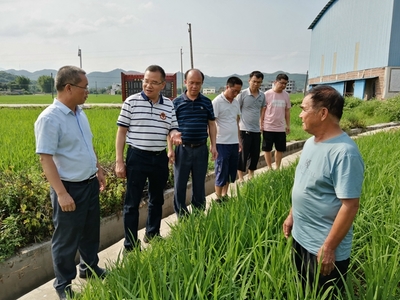 我区启动全国五星乡镇农技推广机构复核工作，深化农业技术研究与应用