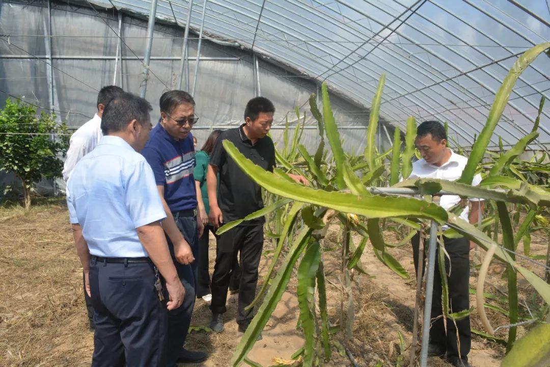 科技赋能巾帼力，助农兴农谱新篇——山东滨州市巾帼科技助农兴农直通车走进阳信