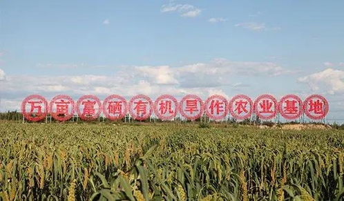 山西农业大学领导深入考察有机旱作关键技术与试验示范基地，推动农业技术研究创新