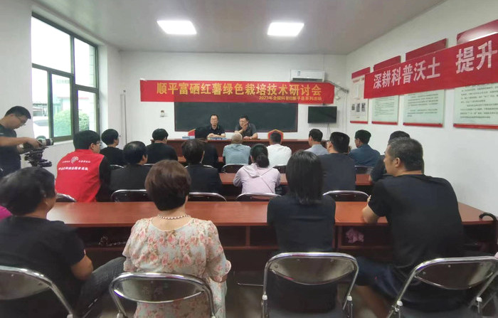 科技赋能促增收 中国农业大学专家赴顺平县指导富硒红薯种植新技术