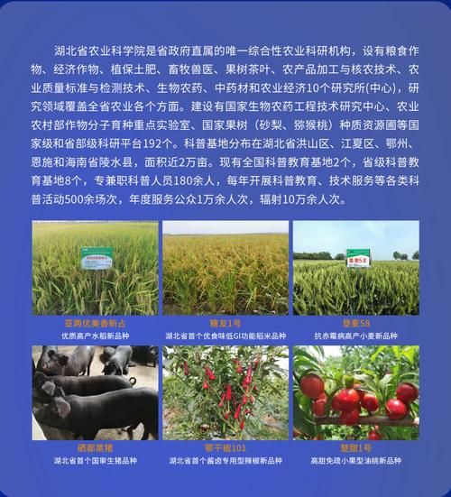 量子科技赋能荆楚沃土 武汉量子技术研究院的农业新探索
