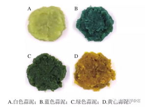 不同颜色蒜泥的风味及挥发性物质分析